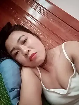 Pivi12 webcam