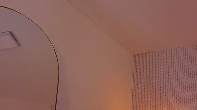 ryo_light webcam