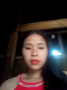 Liss-mimi webcam