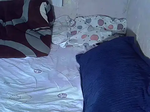 tashlin webcam