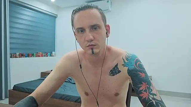 Silent_Stitch webcam