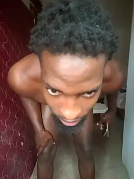 tikie63133 webcam