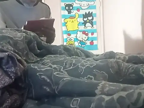 Blkstylion webcam