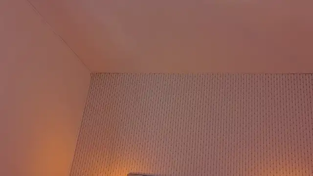 ryo_light webcam