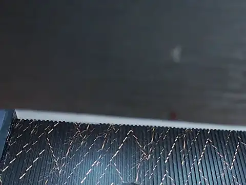 taylorqueensexx webcam