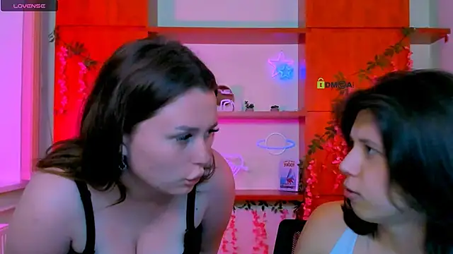 aria_wild_ webcam