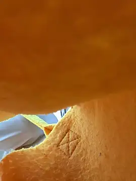 Xiao_Mao_meow webcam