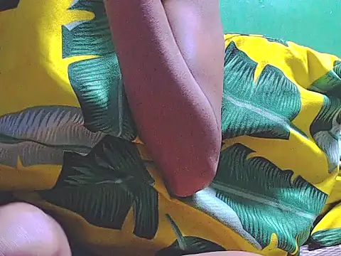 ToiletPlayBarbieDoll webcam