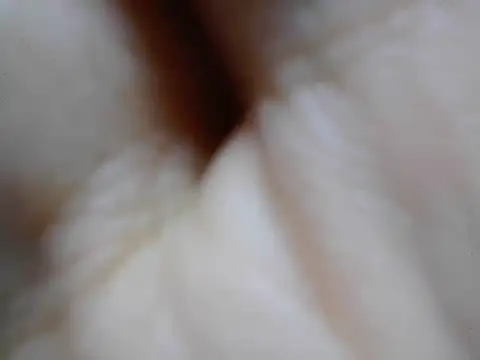 モデル: cumslut_selena69