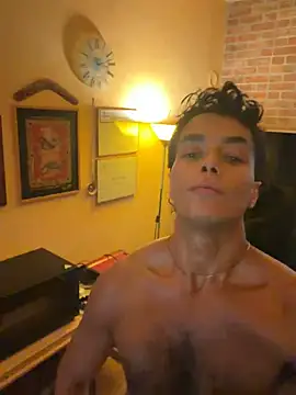 DarkfleX webcam