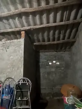 Nuna_689 webcam