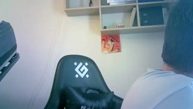SirAbuser webcam
