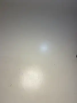 Reecekay webcam