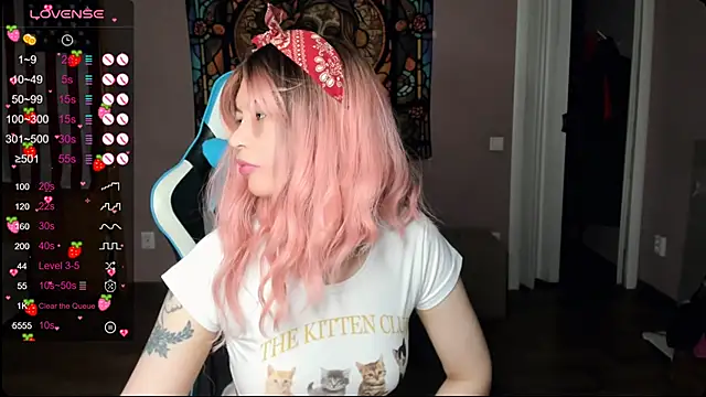 Project_hisoka webcam