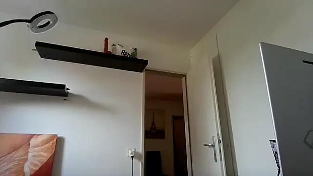 alpha-hunk webcam