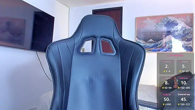 RJBarto webcam