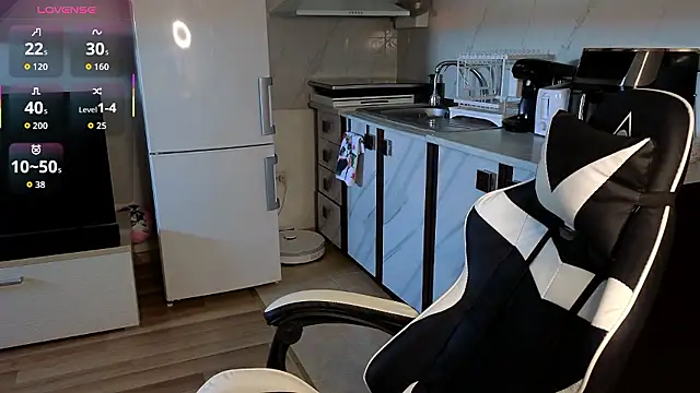 RyanStorm_ webcam