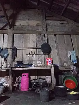 Heli_pusy webcam