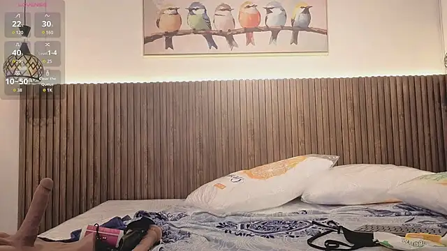 valeriavg webcam