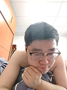 gscdc265 webcam