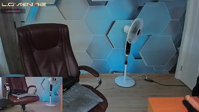 SteveTiger webcam