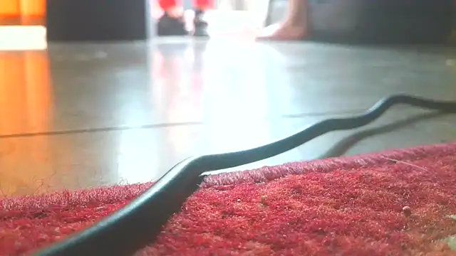 BlnAktivGay webcam