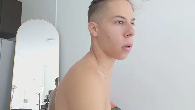 grey___27 webcam