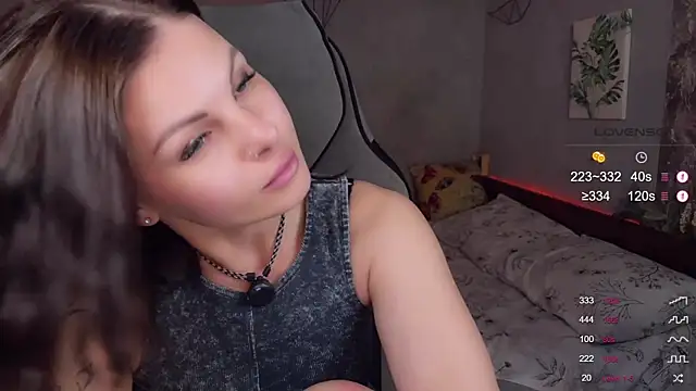 Alaska_ya webcam