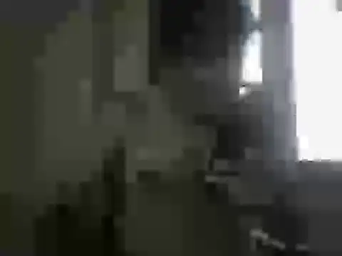 nbolla1 webcam