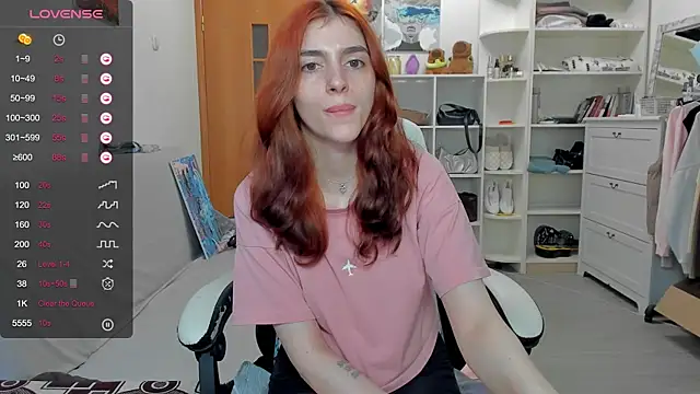 broosnica1 webcam