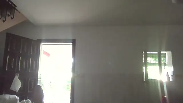 llopaco webcam