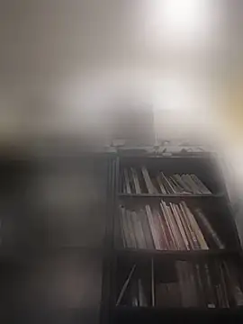 Lv8763 webcam