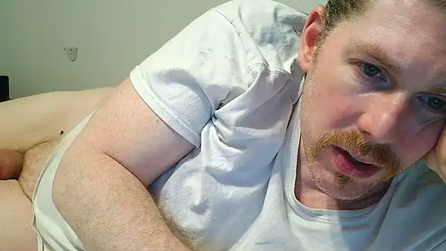 9VOLTT webcam