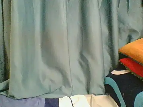 Honey_Vyxen webcam
