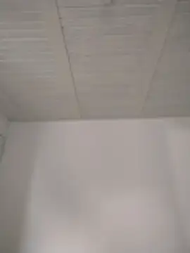 gabii_hardy webcam