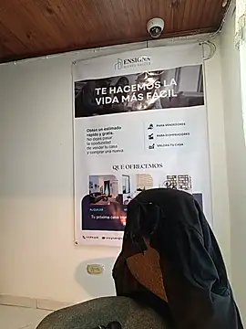 Valentina--1 webcam