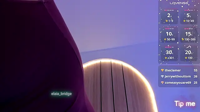 elaia_bridge webcam