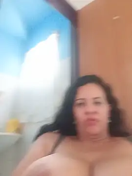 lapatronav2026 webcam