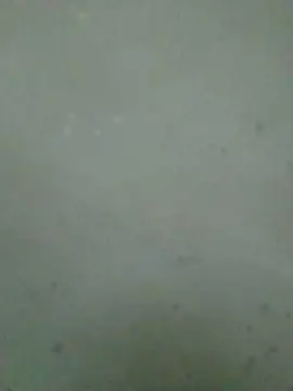 Homelanderss09x webcam