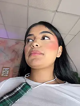 EvasBlazeXXX webcam