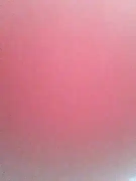 pricilanunes webcam