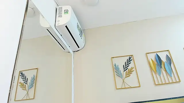 martinc_aria webcam