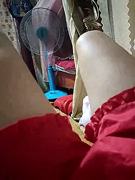 -Tara-a webcam