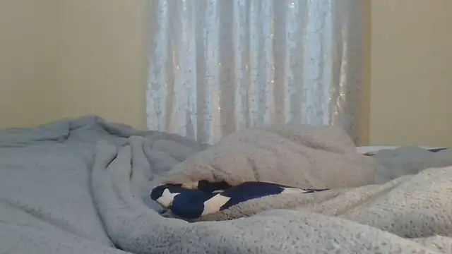 ndivhuwomuleya webcam