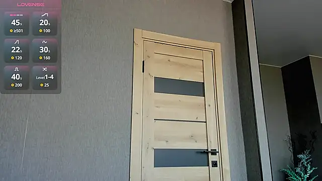 XValkyrieX webcam