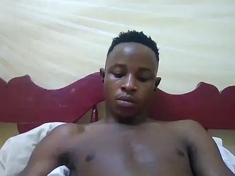 swthairydic webcam
