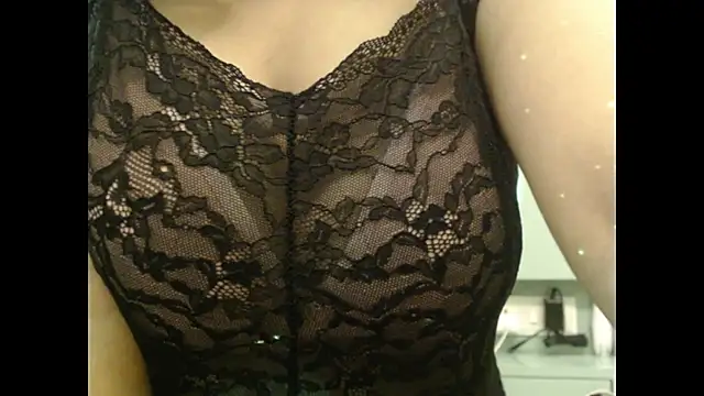Model29 webcam