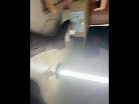 ChocolateBoy-Pussy webcam