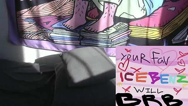 icebenz webcam