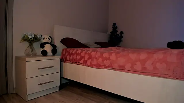 missinfull webcam